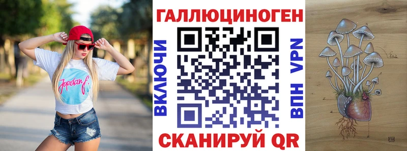 Псилоцибиновые грибы Psilocybe  мориарти наркотические препараты  Кяхта 